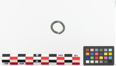 Foto von Bronzering (NHMW-PRAE-023727)